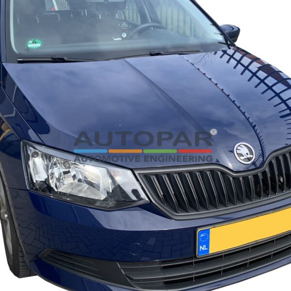 Originele Cruisecontrol Skoda Fabia NJ